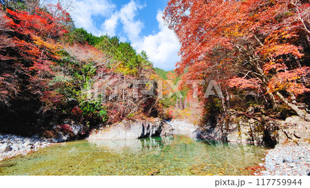 秋の阿寺渓谷 秋の阿寺渓谷 117759944
