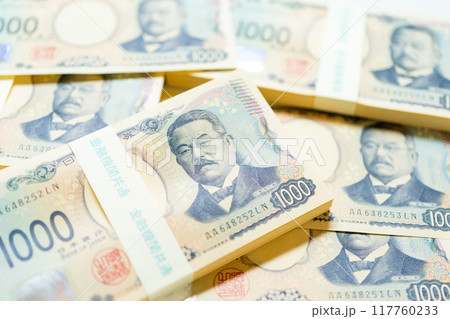 2024年 新千円札 札束 2024年 新千円札 札束 117760233