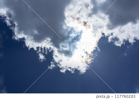 東京の夏空 東京の夏空 117760283