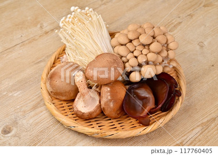 キノコの食材イメージ、椎茸、しめじ、えのき茸、キクラゲ。 キノコの食材イメージ、椎茸、しめじ、えのき茸、キクラゲ。 117760405