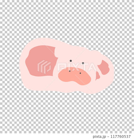 豬和豬肉的插圖 豬和豬肉的插圖 117760537