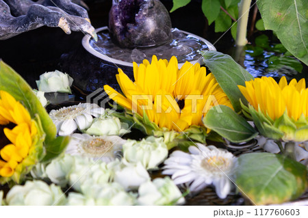 法輪寺の花手水 法輪寺の花手水 117760603
