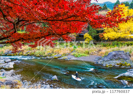 東京 紅葉に染まる御岳渓谷 ~玉堂美術館付近~ 東京 紅葉に染まる御岳渓谷 ~玉堂美術館付近~ 117760837