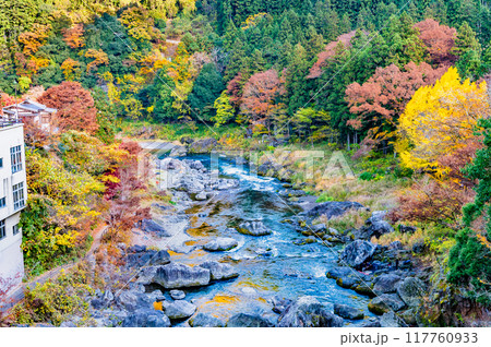 東京 紅葉に染まる御岳渓谷 東京 紅葉に染まる御岳渓谷 117760933