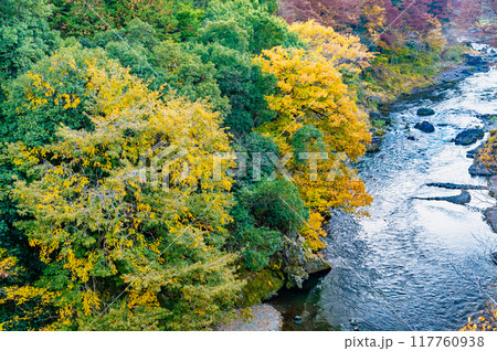 東京 紅葉に染まる御岳渓谷 117760938