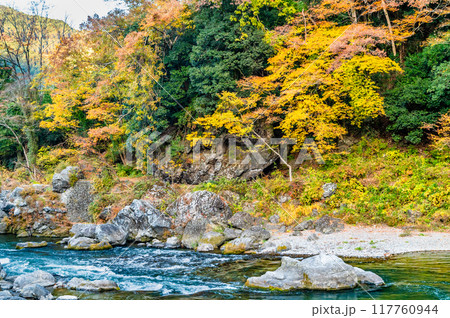 東京 紅葉に染まる御岳渓谷 117760944
