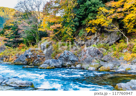 東京 紅葉に染まる御岳渓谷 東京 紅葉に染まる御岳渓谷 117760947