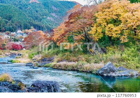 東京 紅葉に染まる御岳渓谷 東京 紅葉に染まる御岳渓谷 117760953