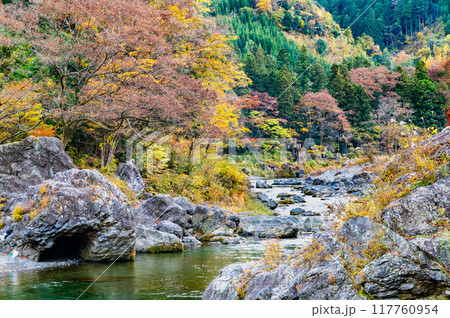 東京 紅葉に染まる御岳渓谷 117760954