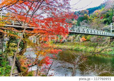 東京 紅葉に染まる御岳渓谷 東京 紅葉に染まる御岳渓谷 117760955