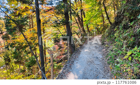 妻籠宿～馬籠宿トレイル（秋） 117761086