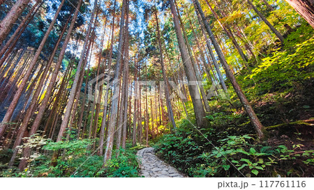 妻籠宿～馬籠宿トレイル（秋） 117761116