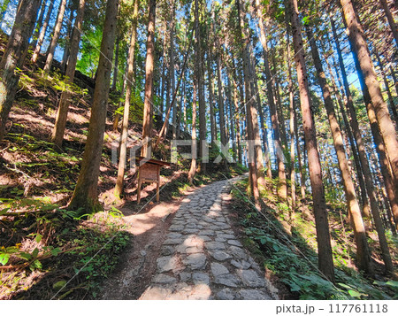 妻籠宿～馬籠宿トレイル（秋） 117761118