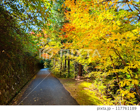 妻籠宿～馬籠宿トレイル（秋） 117761189