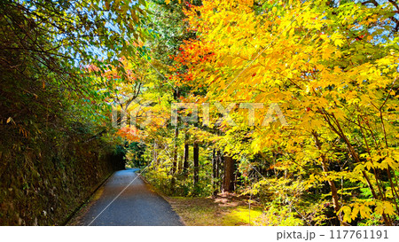 妻籠宿～馬籠宿トレイル（秋） 117761191