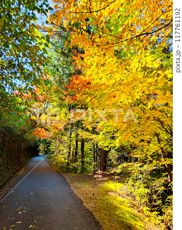 妻籠宿～馬籠宿トレイル（秋） 117761192