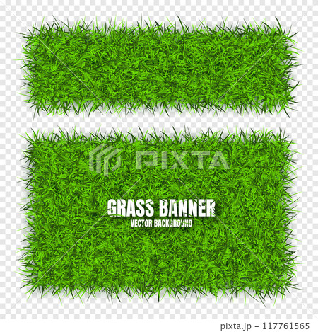 Green grass banners, background. Field, meadow texture, grassy landscape. Organic, bio, eco and natural lifestyle design elements. Ecology and environment protection. Vector illustration Green grass banners, background. Field, meadow texture, grassy landscape. Organic, bio, eco and natural lifestyle design elements. Ecology and environment protection. Vector illustration 117761565