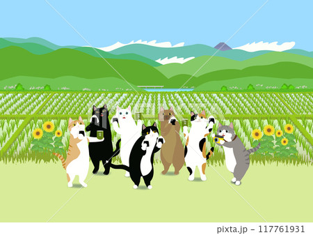 田んぼでおにぎりとお茶を持つ7匹の猫 田んぼでおにぎりとお茶を持つ7匹の猫 117761931
