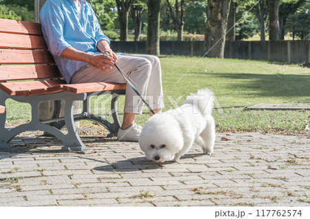 犬の散歩をする愛犬家の中高年男性・ドッグセラピー 犬の散歩をする愛犬家の中高年男性・ドッグセラピー 117762574