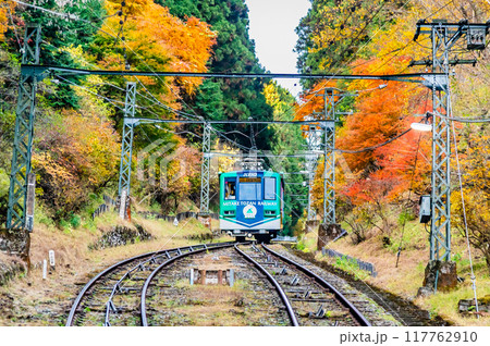東京 紅葉の御岳山を登るケーブルカー 東京 紅葉の御岳山を登るケーブルカー 117762910