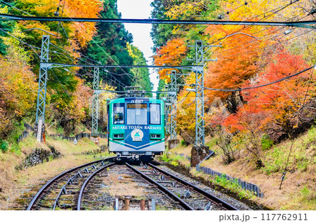 東京 紅葉の御岳山を登るケーブルカー 東京 紅葉の御岳山を登るケーブルカー 117762911