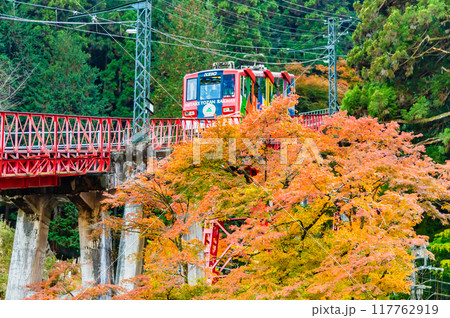 東京 紅葉の御岳山を登るケーブルカー 117762919