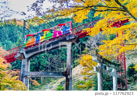 東京 紅葉の御岳山を登るケーブルカー 東京 紅葉の御岳山を登るケーブルカー 117762923