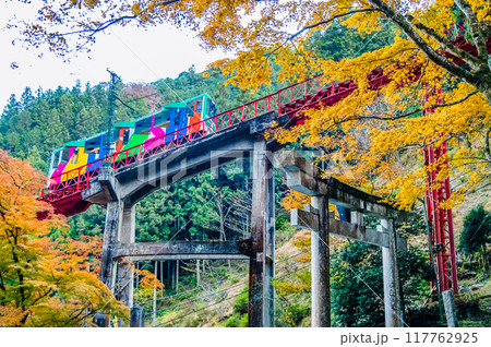 東京 紅葉の御岳山を登るケーブルカー 東京 紅葉の御岳山を登るケーブルカー 117762925