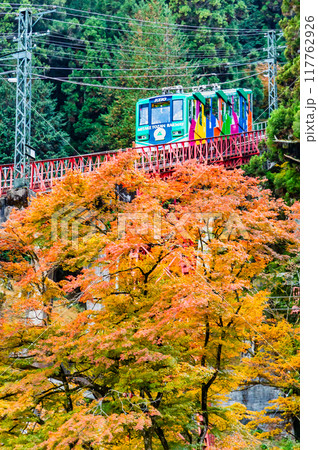 東京 紅葉の御岳山を登るケーブルカー 117762926