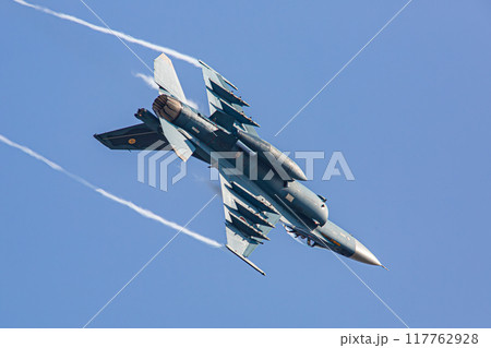 大空を飛ぶ戦闘機 大空を飛ぶ戦闘機 117762928