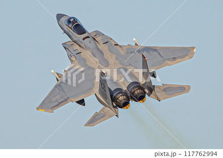 青空を飛行する戦闘機 117762994