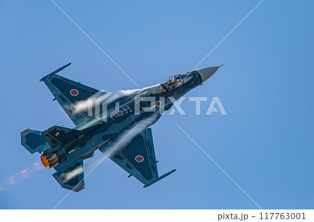 大空を飛ぶ戦闘機 117763001
