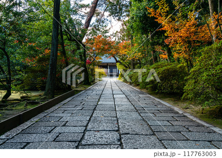 【奈良県】静かな雰囲気の唐招提寺 117763003