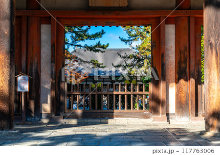 【奈良県】唐招提寺の南大門越しに見る金堂 117763006