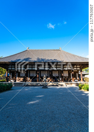 【奈良県】爽やかな青空が広がる唐招提寺の金堂 117763007