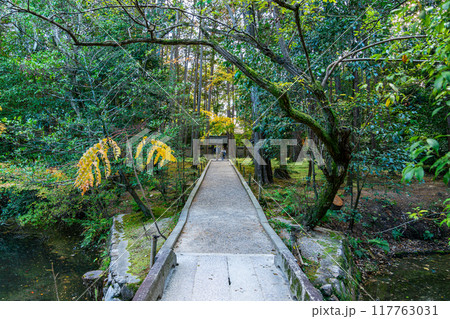 【奈良県】苔の絨毯が美しい唐招提寺 【奈良県】苔の絨毯が美しい唐招提寺 117763031