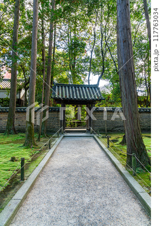 【奈良県】苔の絨毯が美しい唐招提寺 【奈良県】苔の絨毯が美しい唐招提寺 117763034