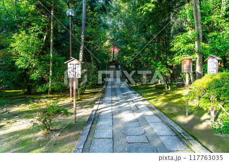【奈良県】生い茂る緑が綺麗な唐招提寺 【奈良県】生い茂る緑が綺麗な唐招提寺 117763035