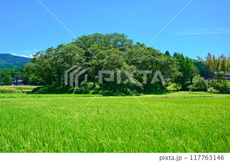 鍋山古墳 中能登町 鍋山古墳 中能登町 117763146