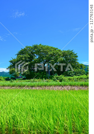 ガラボウ山古墳　中能登町 117763148