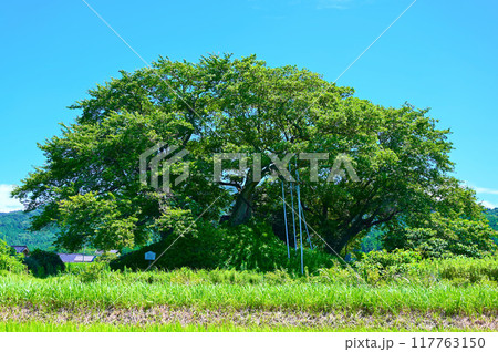 ガラボウ山古墳　中能登町 117763150