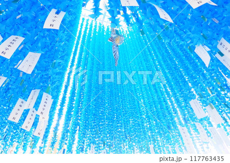 仙台七夕 七夕まつり 2024 仙台七夕 七夕まつり 2024 117763435