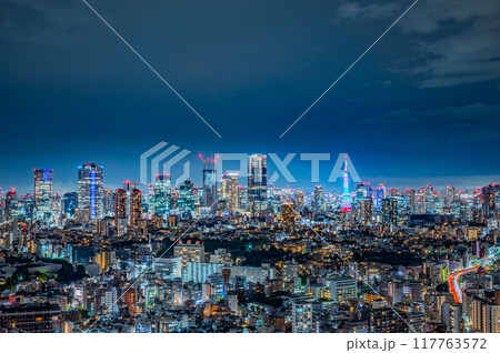 日本の首都東京の夜景 日本の首都東京の夜景 117763572