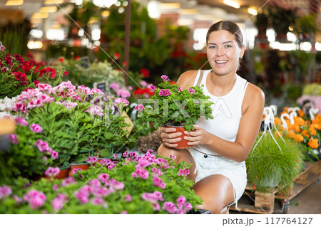 Young girl holding geranium in flower-pot in plants market 117764127