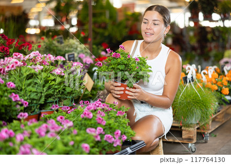 Young woman choosing geraniums in pot 117764130