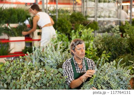 Middle-aged salesman holding bouquet of dry flowers in plants market Middle-aged salesman holding bouquet of dry flowers in plants market 117764131
