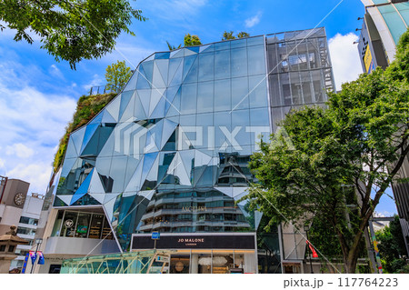 東京 渋谷区の都市風景 神宮前交差点 東急プラザ原宿「ハラカド」 東京 渋谷区の都市風景 神宮前交差点 東急プラザ原宿「ハラカド」 117764223