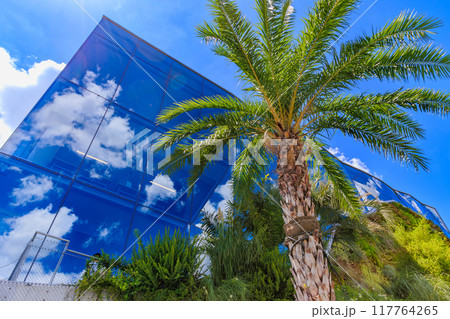 東京　渋谷区の都市風景　神宮前交差点　東急プラザ原宿「ハラカド」 117764265