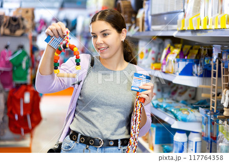 Young woman choosing toys for four-legged friend in pet shop 117764358