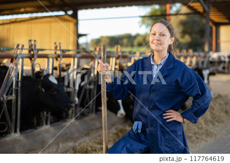 Cheerful woman posing in cowshed on farm breeding dairy cows 117764619